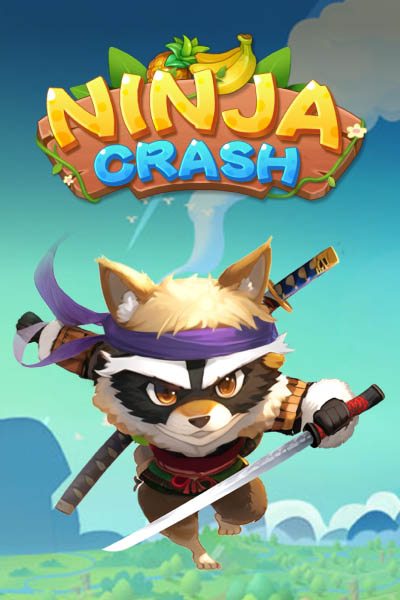 Ninja Crash