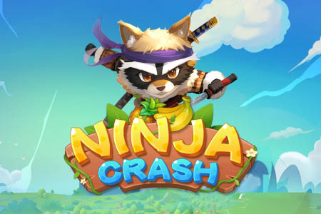 Ninja Crash