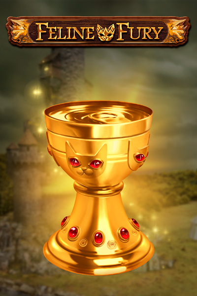 Feline Fury