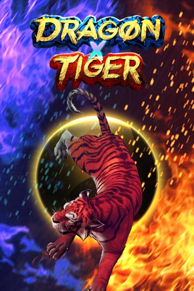 Dragon X Tiger
