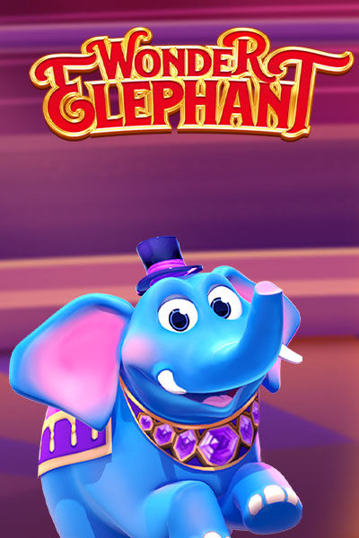 Wonder Elephant